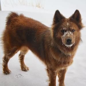 Meet your Posher, Jeanne